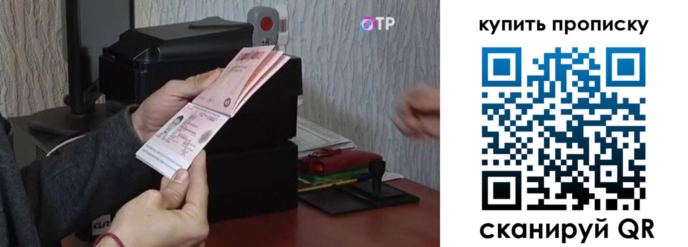 прописка гарантия в Димитровграде